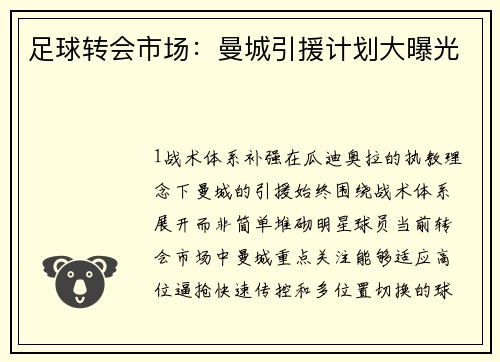 足球转会市场：曼城引援计划大曝光